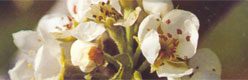 Fruitstreekmuseum