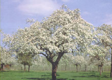 Fruitstreekmuseum
